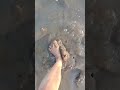 Walking On Mud In The River Trend Amazing Asmr Walking Mud Shorts