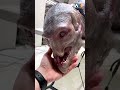 MonstruoRuso Qué Es Eso Que Está Circulando En Todas Las Redes Sociales