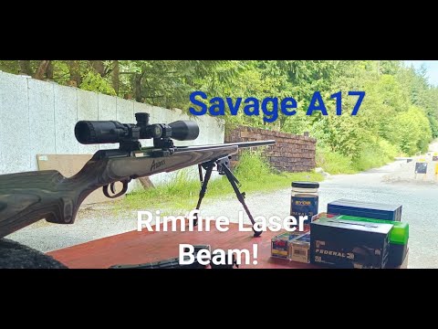Savage A17 Review. 17 HMR Ammo 100 Yard Accuracy Test. 25 Round Butler Creek Magazines. Boyds Stock.