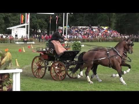 Lars SCHWITTE (GER) FEI CH-M-AH2, Drebkau (Germany), cones, 15.09.2019