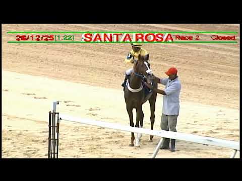 Arima Race Club - Day 12 December 26th 2025 Race -2