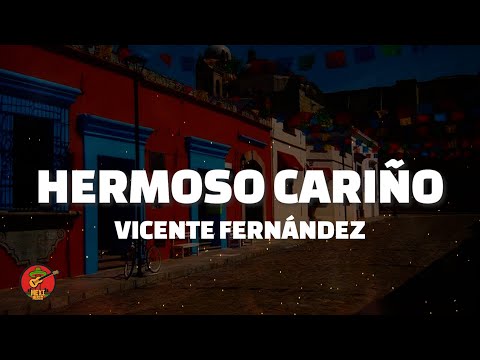 HERMOSO CARIÑO - Vicente Fernández (Letra)