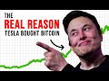 Cathie Wood THIS Is How Bitcoin Will Hit 500k