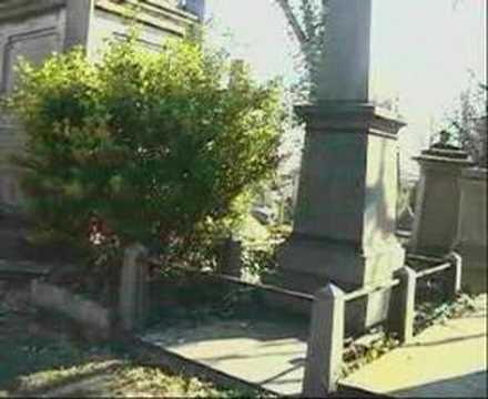 terror stricken city