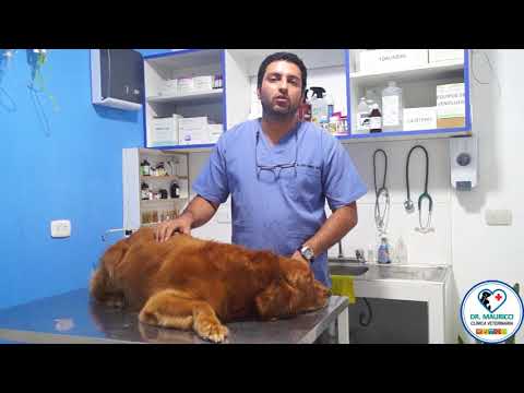 Baño Medicado de Vico