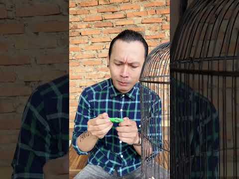 misteri-hilangnya-yanti