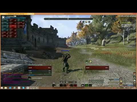 Pvp  Nb spe stamina 2armes/arc TESO