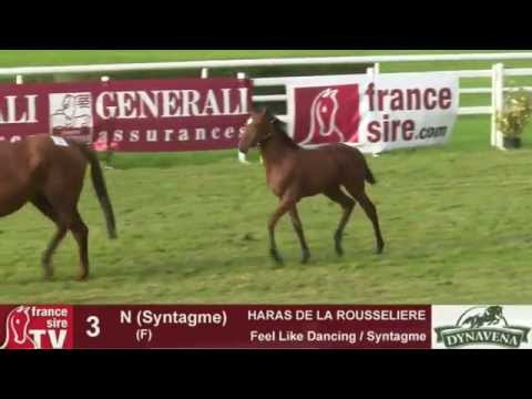 Show AQPS 2015 : lot 3 - N - F15 - Feel Like Dancing & Syntagme