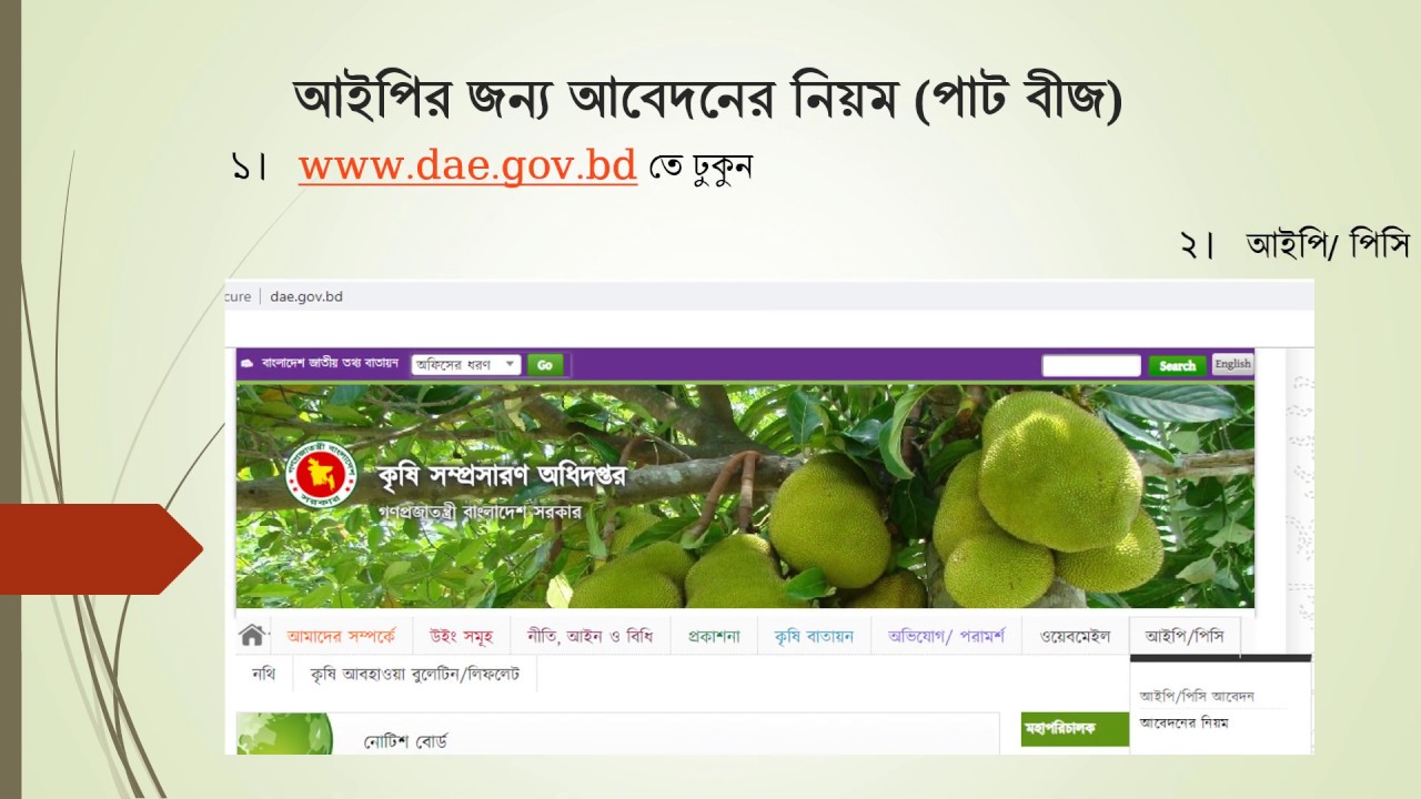 Process for Import Permit  Application