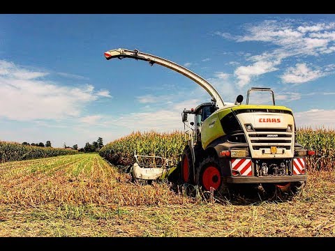 New Claas Jaguar 970 Type 498 | Agromeccanica Casiraghi | Insilato 2017 | Silage season 2017