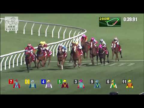 港經佬賽事重溫｜22-12-2021 谷草夜馬第八場賽事重溫 (278)｜南區寶 WE THE SOUTH (D149)｜周俊樂 C L Chau｜羅富全 F C Lor｜免費心水及賽馬貼士