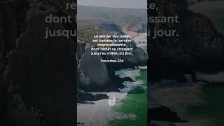 Proverbes 4:18 Louis Segond #labible #biblevision