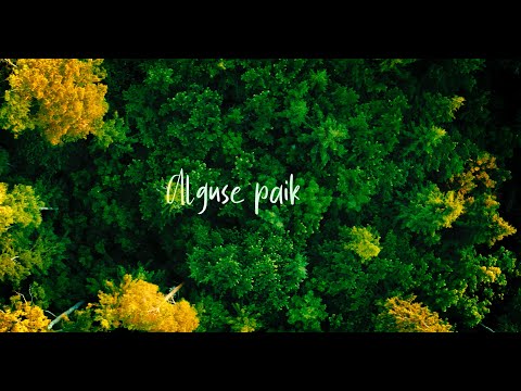 Ele Millistfer & Elleri tütarlastekoor - Alguse paik