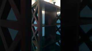 Costco book shelf