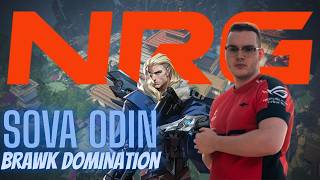brawk Sova Haven RADIANT ODIN MASTER