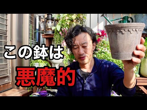 園芸 蛇籠、装飾品