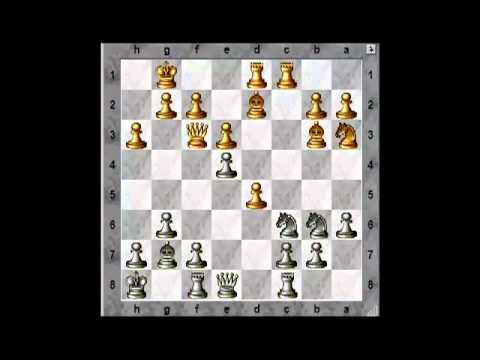 Reshevsky vs. Schiller