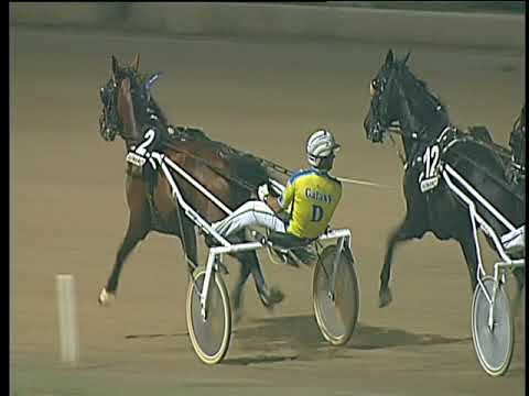 Trotto 19/08/2017 - 7ª corsa