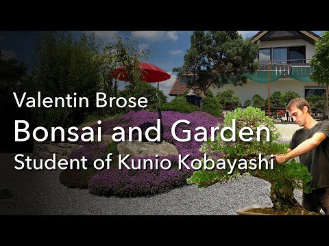 Valentin Brose, student of Master Kunio Kobayashi, designs his own  Bonsai and Bonsai-Garden, now!