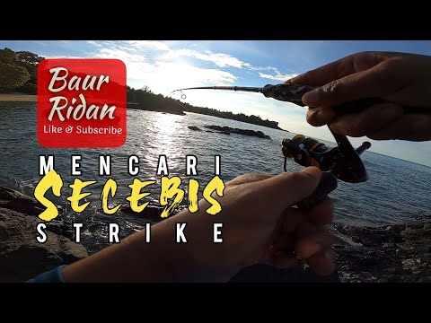 Jalan-jalan mencari strike | Lamanya PKP