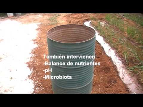 Hacer compost casero para el huerto