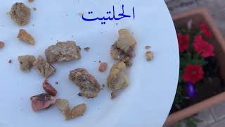 كيف تعرف الحلتيت الاصلي والمغشوش الموقع الإلكتروني الأكثر شهرة لمشاركة مقاطع الفيديو الموسيقية