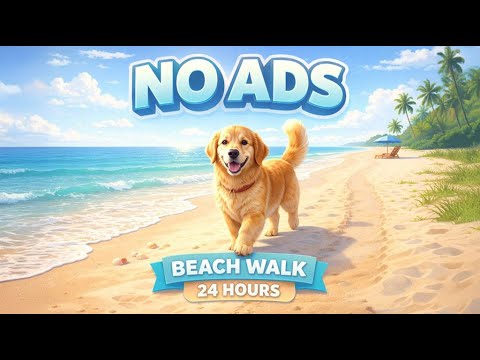 24 horas de televisión🎵🐶canina música calmante para el sueño🐶💕canino música relajante para la an