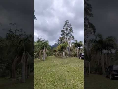 CHÁCARA DE 10.000M² / CAMPINA GRANDE DO SUL/600 MTS DA BR/R$250 MIL 41997779319