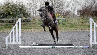 Perfect // Diamond&#39;s first show