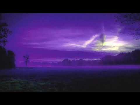 UNDO THE SILENCE - Pulser & Josie (David Forbes Remix)