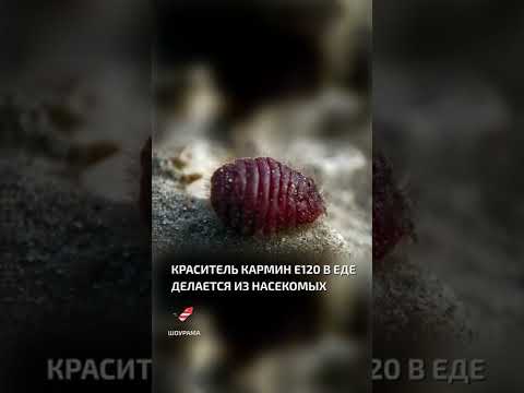 Carmine E120 food coloring is derived from insects – interesting facts