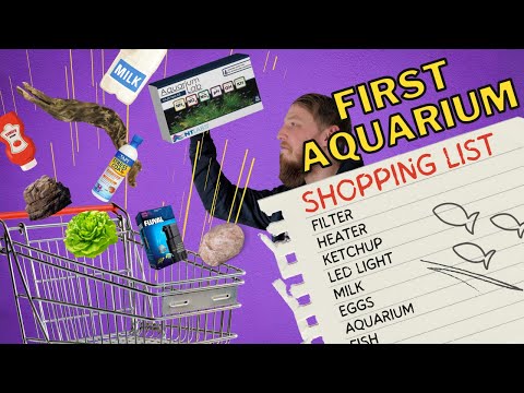 Everything you need for an Aquarium! (Beginner's series)