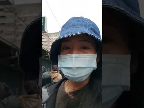 Hellovenus 5th Single #shorts (HELLOVENUS)