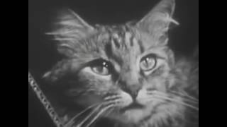 Madeline Kenney - Still Together (Music Video)