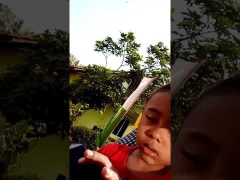 LUcu abiss, ngantuk, pas di motor