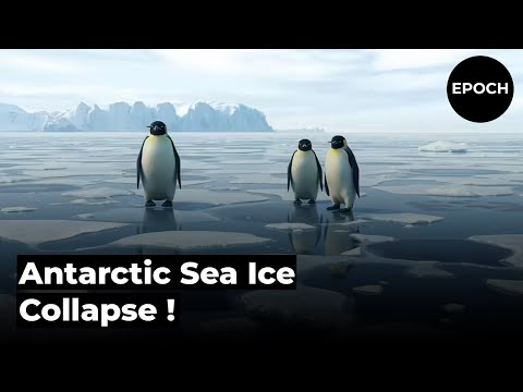 Antarctic Sea Ice at Risk: Global Climate Tipping Point