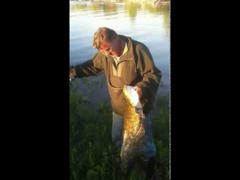 Istinita ribarska priča Smajo Buško jezero 5/2012