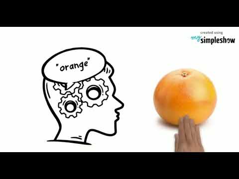 Piaget's concepts - Cognitive Development: Assimilation Accommodation Equilibration