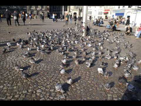 Mannen van de Radio - Duiven, Niemand begrijpt me