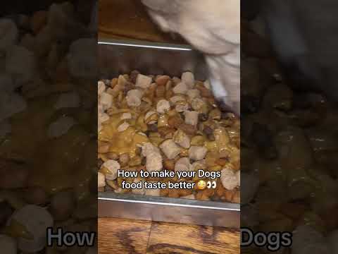 BullyMax - How to Make Your Dog's Food Taste Better