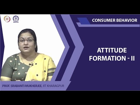 Attitude Formation II