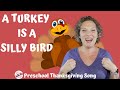 Preschool Turkey Song A Turkey Is A Silly Bird Thanksgiving Song For Kids
