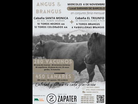 06/11/2024 Escritorio Zapater /Local Sarandi de Barceló - Cerro Largo