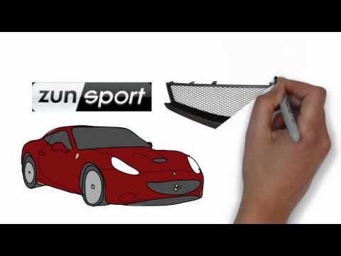 Zunsport Car Grilles