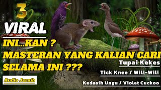 Download lagu MASTERAN FULL TEMBAKAN TUPAI KEKES VS KEDASIH UNGU VS THICK KNEE , MASTERAN YANG KEMBALI VIRAL mp3