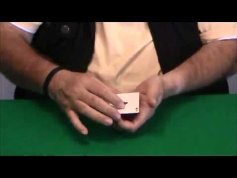 Sleights and Subtleties Vol.1 by Wild-Colombini