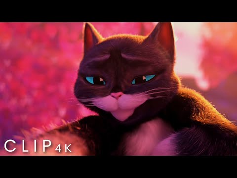 el Gato le pide perdón a Kitty | El Gato con Botas | Clip 4K