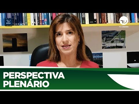 Veja o que pode ser votado no Plenário nessa semana - 18/05/20