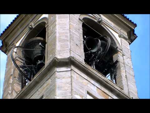 Le campane di Mapello (BG) - Allegrezza e concerto solenne 2