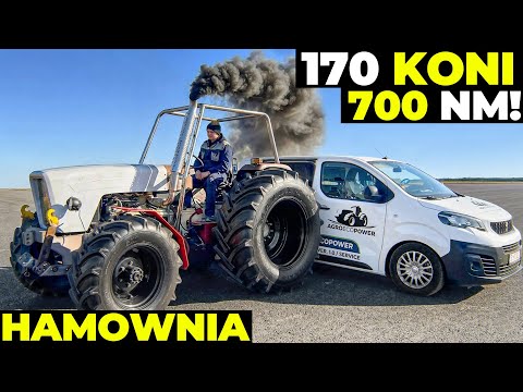 170 KONI i 700 NIUTA w URSUSIE C- 350 przy Zaledwie 0.8 BARA !!